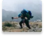 Activities