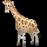 IMG_1675063421.webp